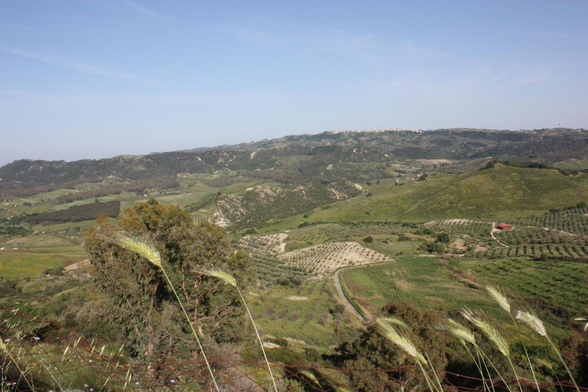 Azienda Agrituristica Biologica Il Querceto Santa Severina Kültér fotó