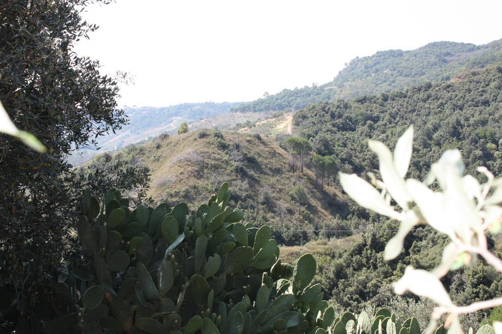 Azienda Agrituristica Biologica Il Querceto Santa Severina Kültér fotó