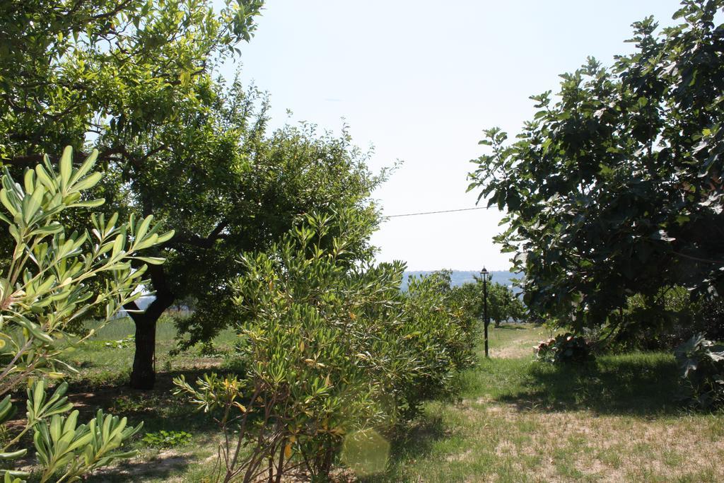 Azienda Agrituristica Biologica Il Querceto Santa Severina Kültér fotó