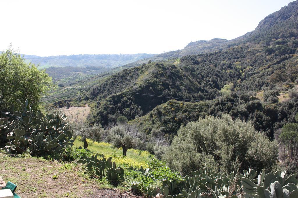 Azienda Agrituristica Biologica Il Querceto Santa Severina Kültér fotó