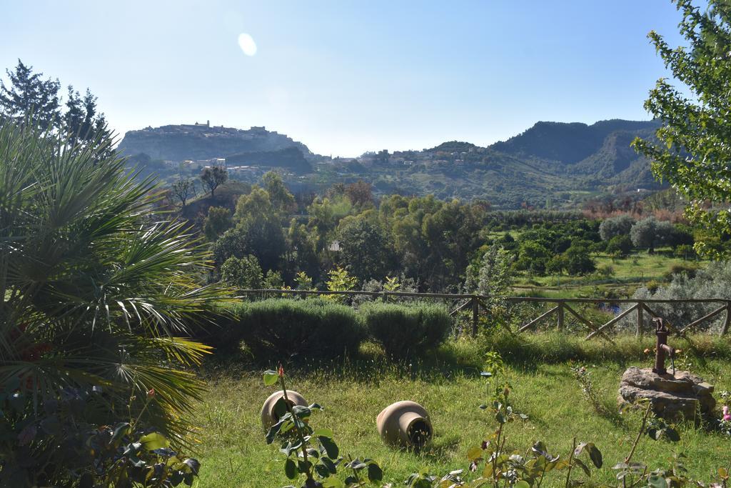 Azienda Agrituristica Biologica Il Querceto Santa Severina Kültér fotó