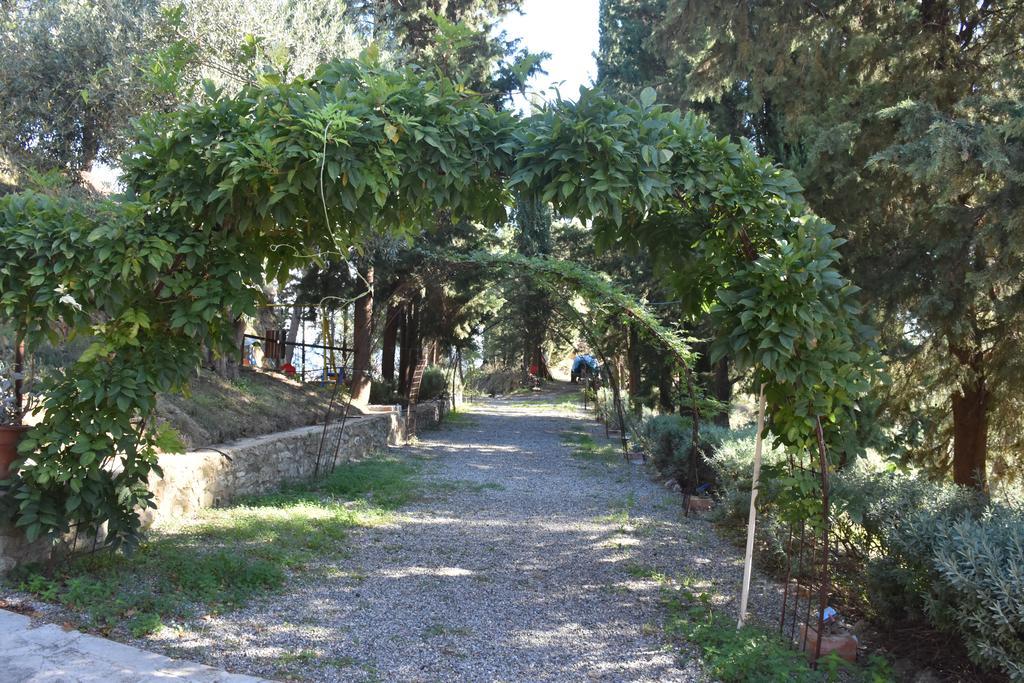 Azienda Agrituristica Biologica Il Querceto Santa Severina Kültér fotó
